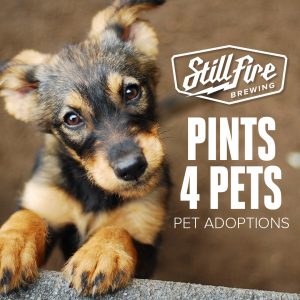 Puppies 4 Pints