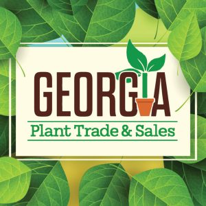 GEORGIA PLANT SWAP + SALE